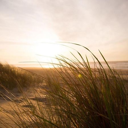 Grosse Nordseewelle Ohne Hund Norden Exteriér fotografie
