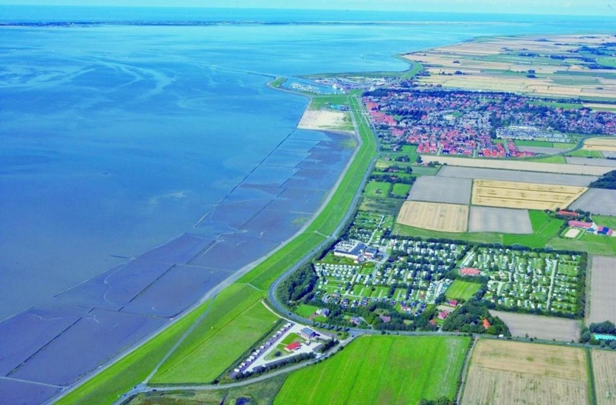 Grosse Nordseewelle Ohne Hund Norden Exteriér fotografie