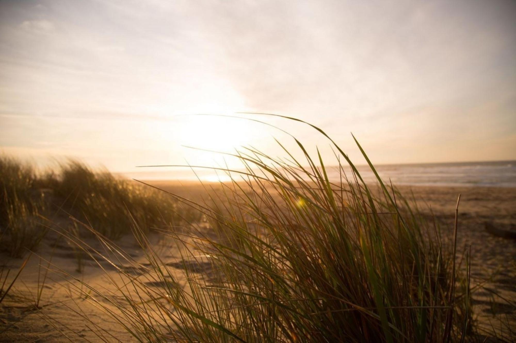 Grosse Nordseewelle Ohne Hund Norden Exteriér fotografie